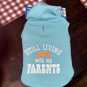 Vibrant Blue and Orange Small Pet Hoodie